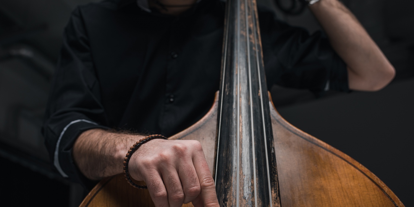 Upright/Double Bass Bass Lessons